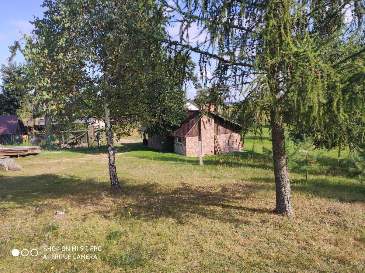 Dzika Zagroda Dziemiany Exterior foto