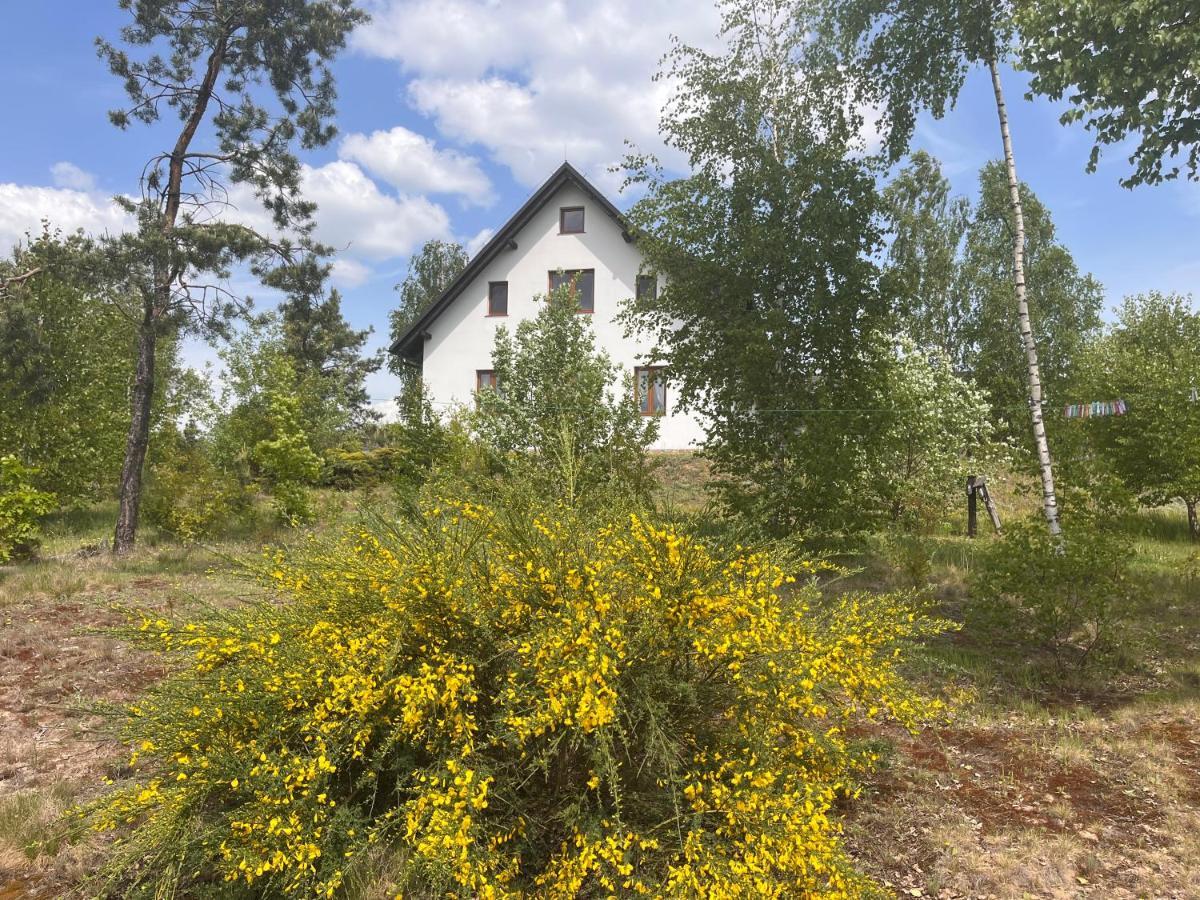 Dzika Zagroda Dziemiany Exterior foto