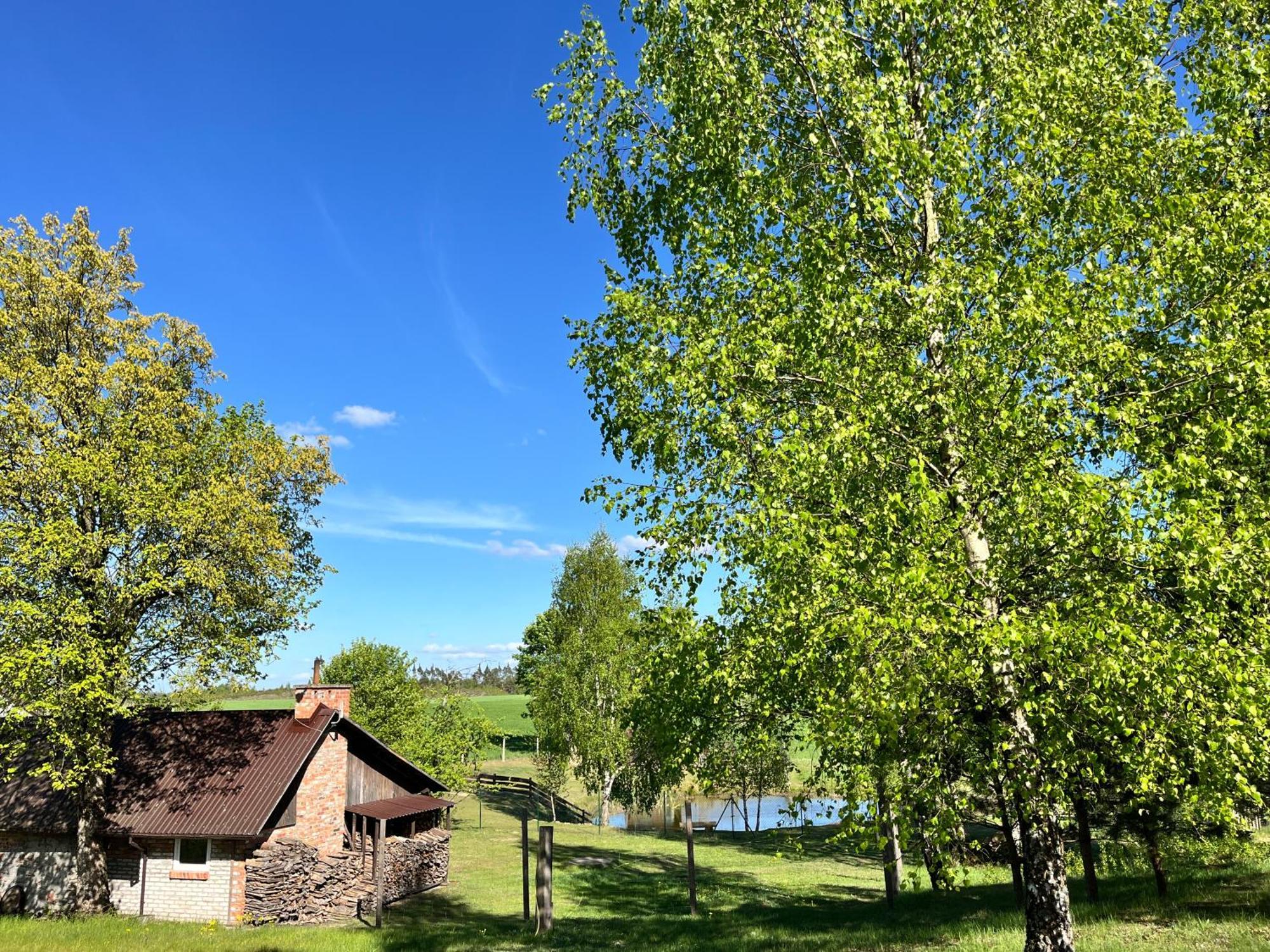 Dzika Zagroda Dziemiany Exterior foto